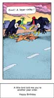 buzzards